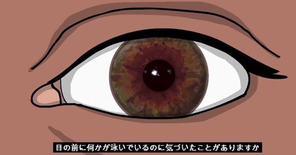 【そうだったのか！】空中に見える謎のモヤモヤの正体が判明！