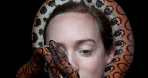 【微閲覧注意】爬虫類と白人女性の合体芸術画像集