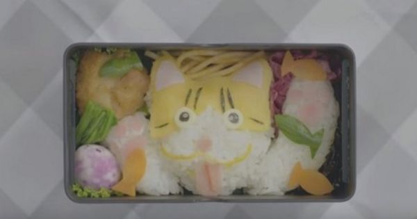 【ほんわかｗ】キャラ弁を通した夫婦の絆が笑えて泣ける