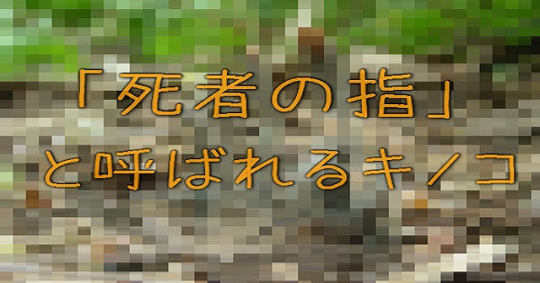 【見たことない植物！！】「死者の指」と呼ばれるキノコがこちら…想像以上に怖い！