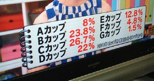 【２０１１年度の話ですが、、、】日本の女性の約40%がDカップ以上だった件ｗｗｗ